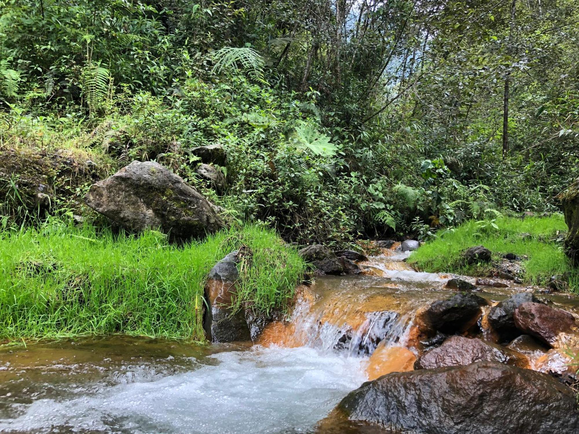 Mountain - Tungurahua Hot Springs/aguas Termales *